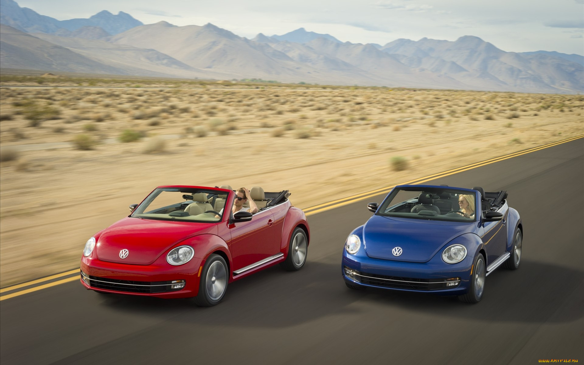 , volkswagen, beetle, convertible